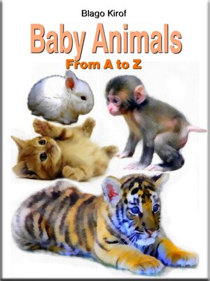 cover image of Baby Animals From a to Z